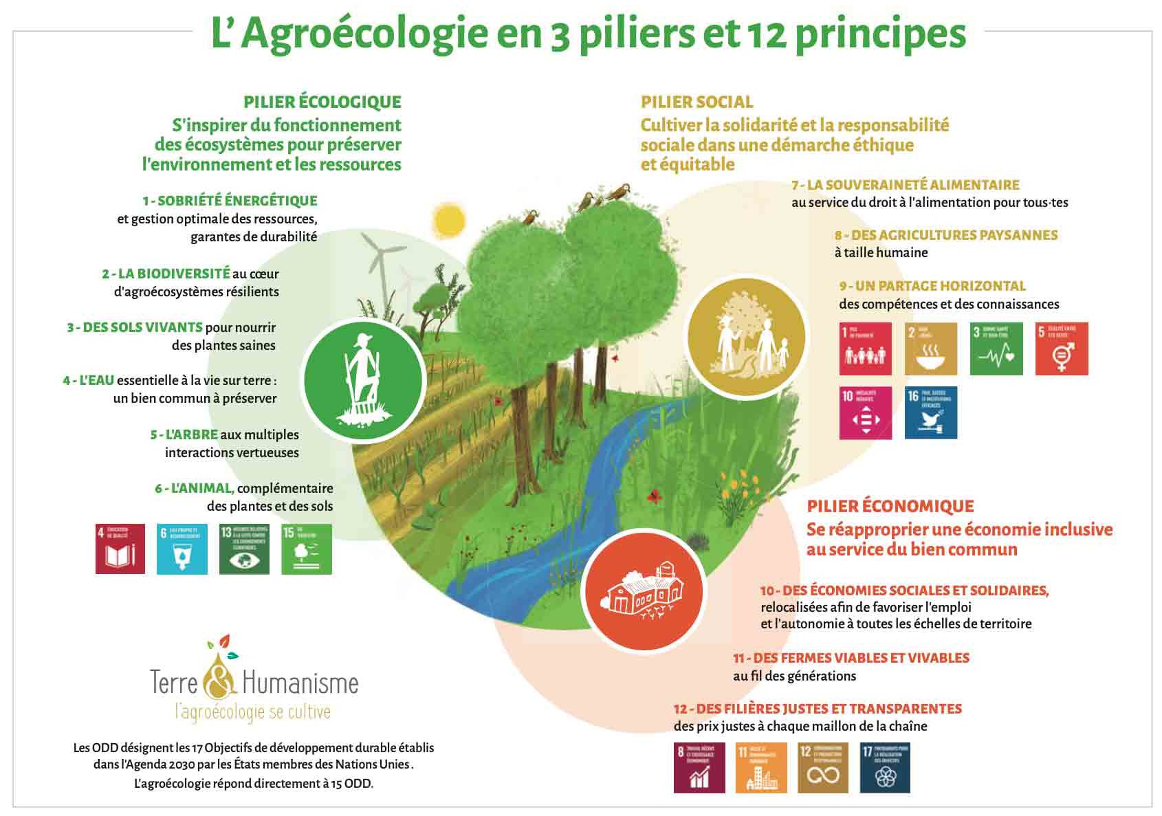 Mélanie-NETO-Verdazul-Terre-et-humanisme-agroécologie-3-piliers-et-12-principes